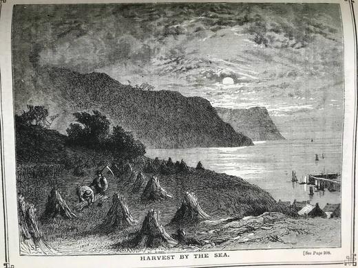 1883-1884年 家庭箴言杂志 约百幅插图 真皮精装大32开 商品图10