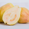 【顺丰快递】增城胭脂红芭乐 番石榴 果香四溢 清脆可口 ATX 商品缩略图3