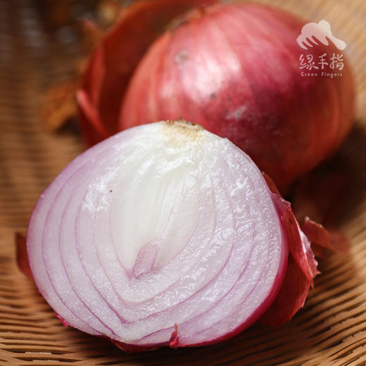 生态洋葱 | 合作生产* Eco- onion | Coproduction 商品图0