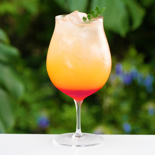 橙子石榴 商品图0