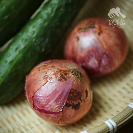 生态洋葱 | 合作生产* Eco- onion | Coproduction 商品图2
