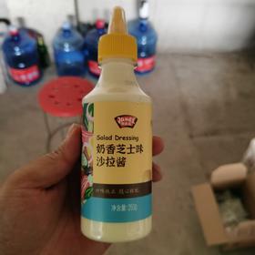 极美滋奶香芝士味沙拉酱250g
