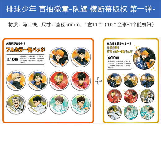 昭和笔记 排球少年 队旗 横断幕版权 徽章吧唧盲盒 再贩 周边谷子 商品图1