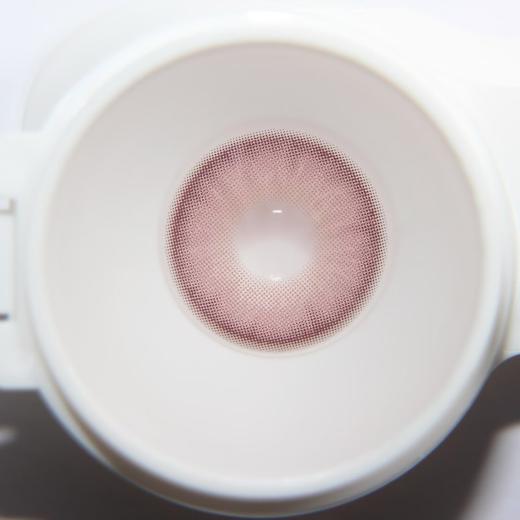 Annieone月抛-苦涩兔兔 商品图5