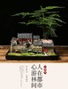 中式禅意复古花盆造景盆器桌面微景观室内盆栽文竹菖蒲盆景植物盆 商品缩略图4