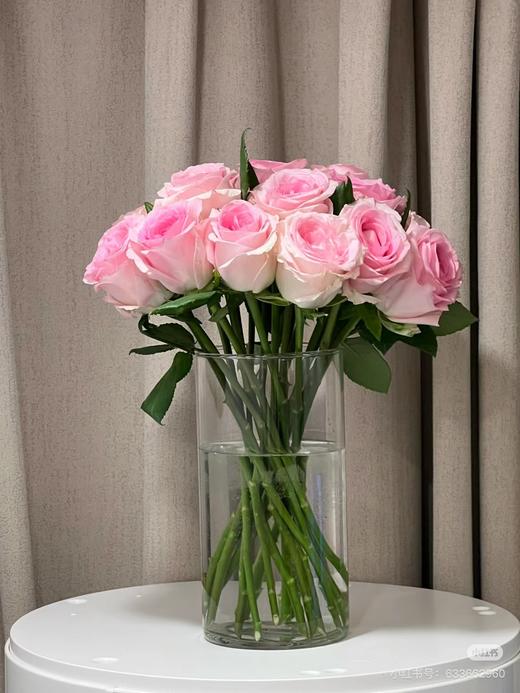 洛神玫瑰10支 商品图0