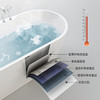 帝王洁具椭圆形独立浴缸家用卫生间亚克力1.6米TB013 商品缩略图2