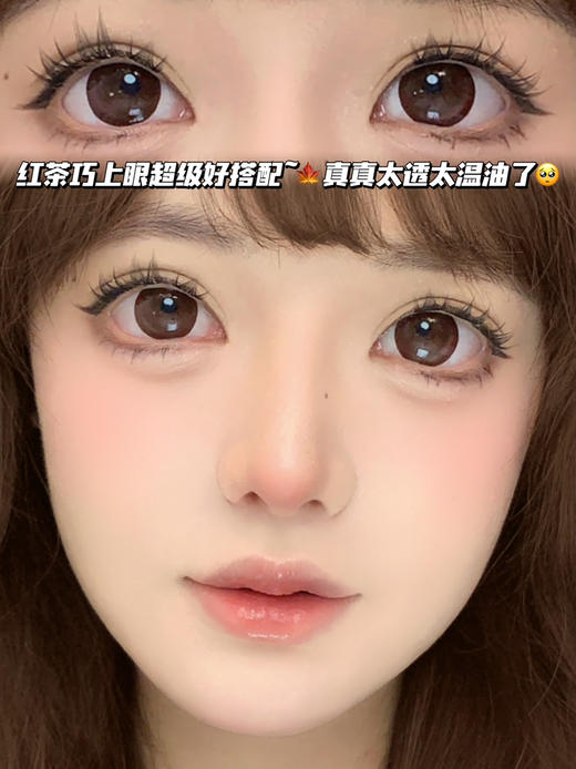 Oolong 红茶乌龙·半年抛型 商品图0