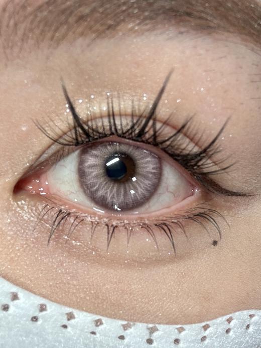 Annieone月抛-苦涩兔兔 商品图2