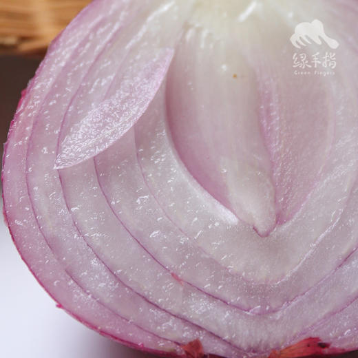 生态洋葱 | 合作生产* Eco- onion | Coproduction 商品图3