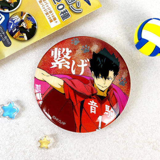 昭和笔记 排球少年 队旗 横断幕版权 徽章吧唧盲盒 再贩 周边谷子 商品图3