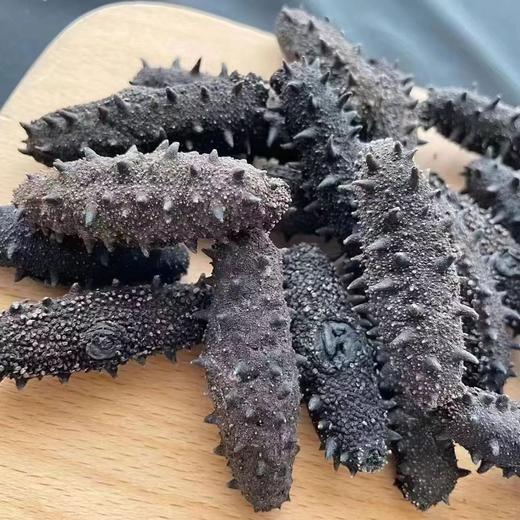 淡干海参 商品图0