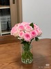 洛神玫瑰10支 商品缩略图1