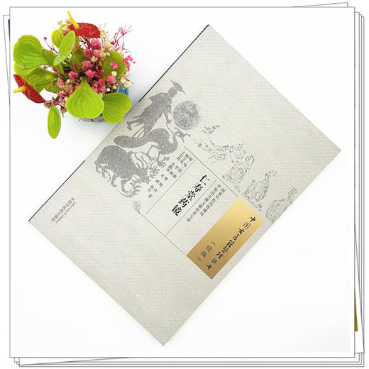 仁寿堂药镜（中国古医籍整理丛书.续编）明·郑二阳 辑 中国中医药出版社 商品图1