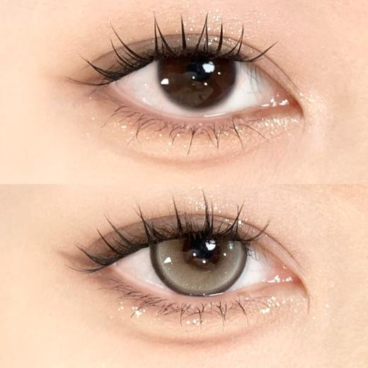 Annieone日抛-鎏金公爵 商品图5