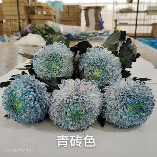 配花-牡丹菊-5枝 商品图0