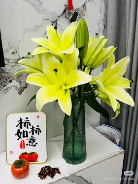 多头黄天霸香水百合4支