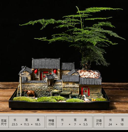 中式禅意复古花盆造景盆器桌面微景观室内盆栽文竹菖蒲盆景植物盆 商品图5