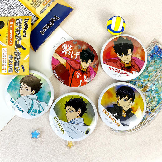 昭和笔记 排球少年 队旗 横断幕版权 徽章吧唧盲盒 再贩 周边谷子 商品图0