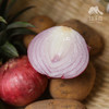 生态洋葱 | 合作生产* Eco- onion | Coproduction 商品缩略图4