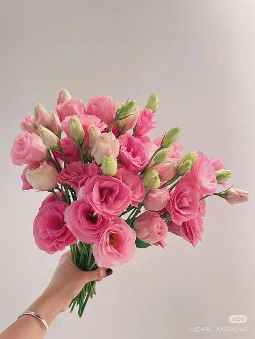 洋桔梗粉色一捆 商品图1