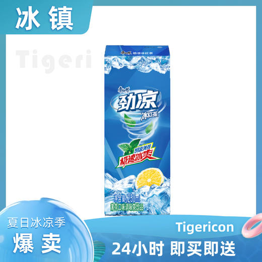 康师傅劲凉冰红茶饮品250ml冰镇饮料 商品图0