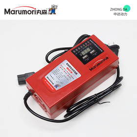 丸森 48V 5A（快充）