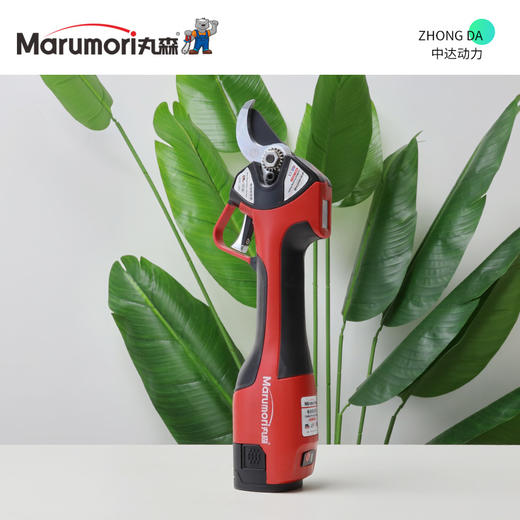 J1632-2.5 商品图3