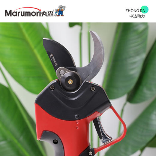 J1632-2.5 商品图8