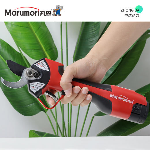 J1632-2.5 商品图0