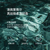 【积分换购不退货】【特惠不退货】伊芙丽高级感简约印花醋酸衬衫女2024春装1F3110162G 商品缩略图3