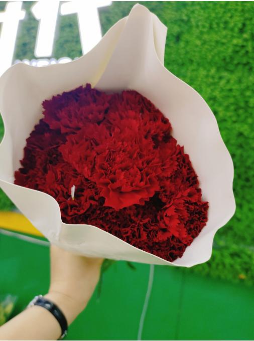 红康乃馨10支 商品图0