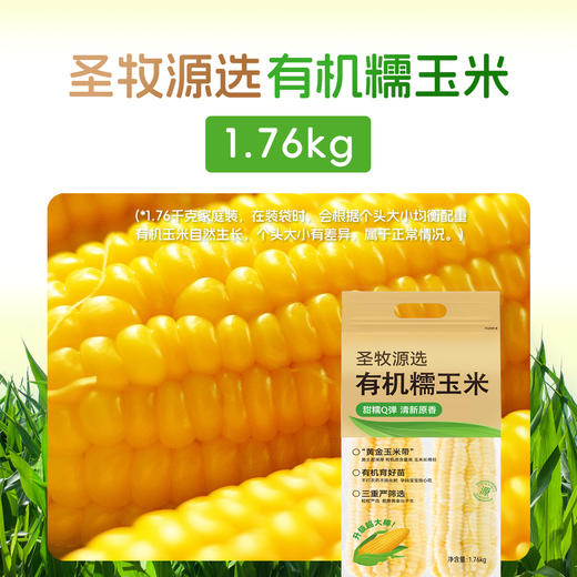 优选|有机黄糯/白糯玉米  有机种植  软糯香粘   真空锁鲜  1.76kg 商品图2