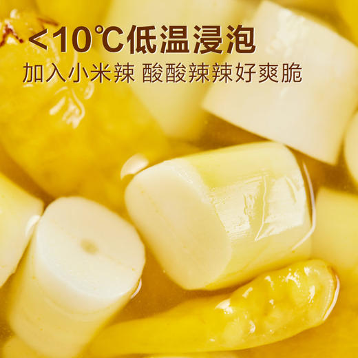 【江城百臻】良品铺子野山脆笋节(泡椒味)120g 商品图2