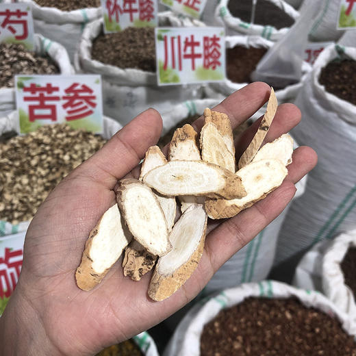 牛大力 商品图4