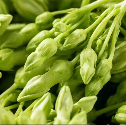 夜香花（约100g） 商品图1