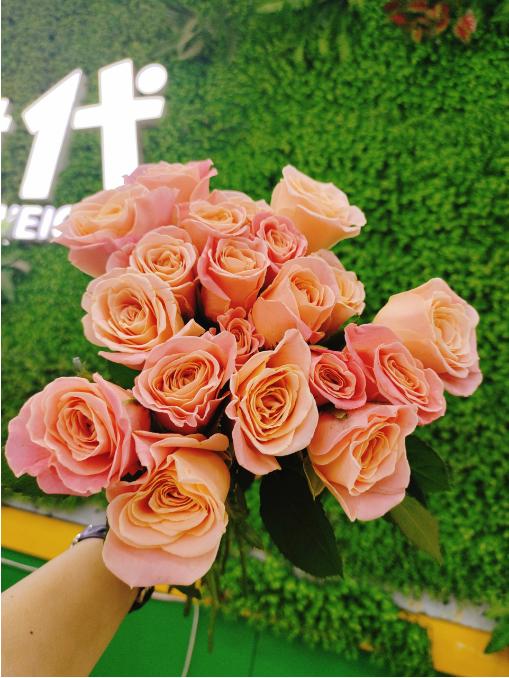 朱小姐玫瑰10支 商品图1