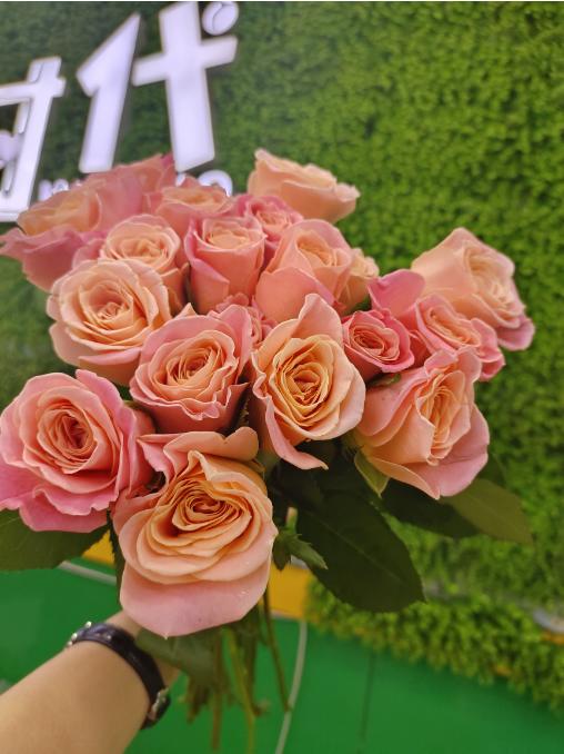 朱小姐玫瑰10支 商品图0