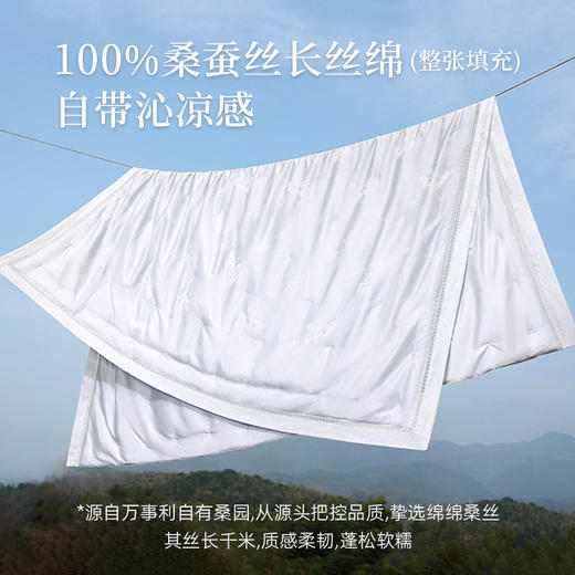 万事利“花漾”可水洗纯蚕丝夏被 商品图5