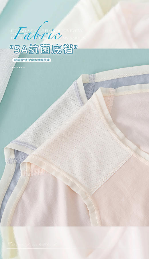 爆款女士彩纱笑脸裸氨无缝内裤2078/1100/9601/9650/1349/3125 商品图13