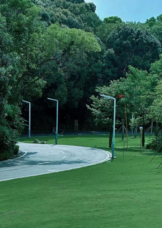 【泊寓户外】8月24日虹桥公园+大顶岭绿道徒步 商品图12