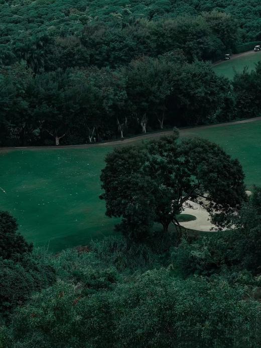 【泊寓户外】8月24日虹桥公园+大顶岭绿道徒步 商品图10