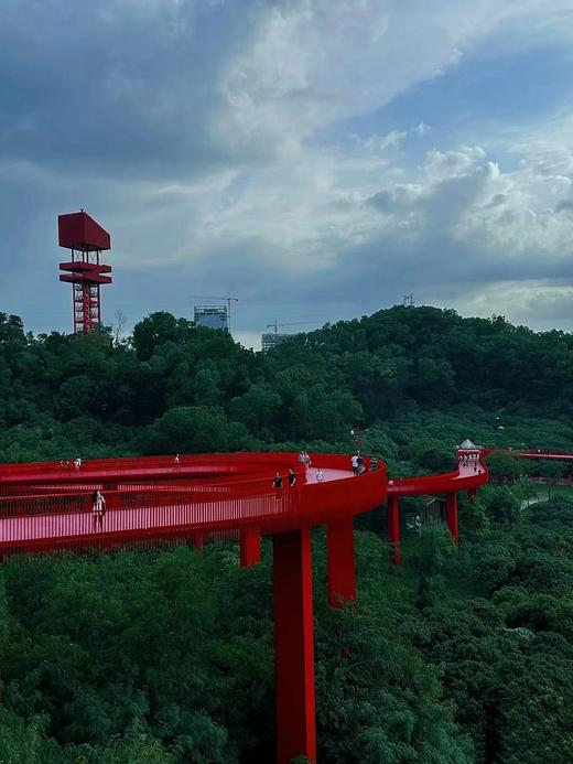 【泊寓户外】8月24日虹桥公园+大顶岭绿道徒步 商品图2