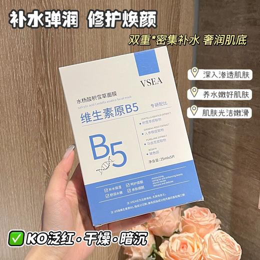 「买1送1！到手两盒」VSEA维生素原B5面膜水杨酸积雪草净颜面膜补水保湿晚安冻膜面膜冷敷贴 商品图0