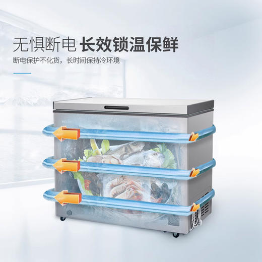 美菱（202650）(MELING)BC/BD-256DT 家用商用保鲜柜 冷藏冷冻柜自营 顶开门单温冰柜卧式冰箱柜 商品图2