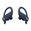 Beats Powerbeats Pro蓝牙真无线耳机 商品缩略图1