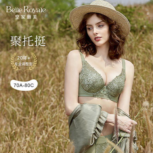 皇家丽美新款文胸小胸显大聚拢收副乳记忆软圈WJ235-3 商品图0
