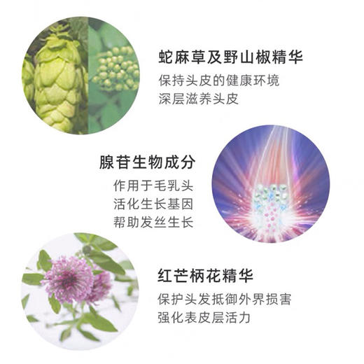 资生堂护理道生机洗发水头皮修护强韧发根丰盈蓬洗发水护发素1000ml【CDF】 商品图2