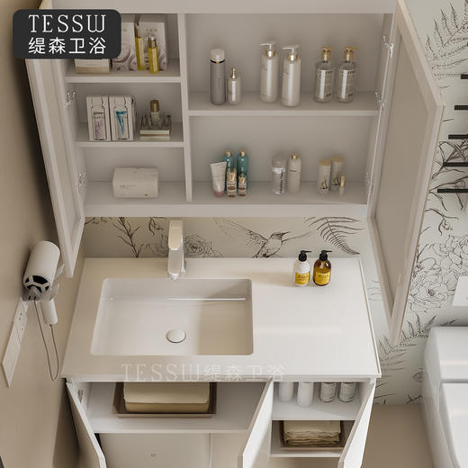 ZX119现代风浴室柜 商品图2