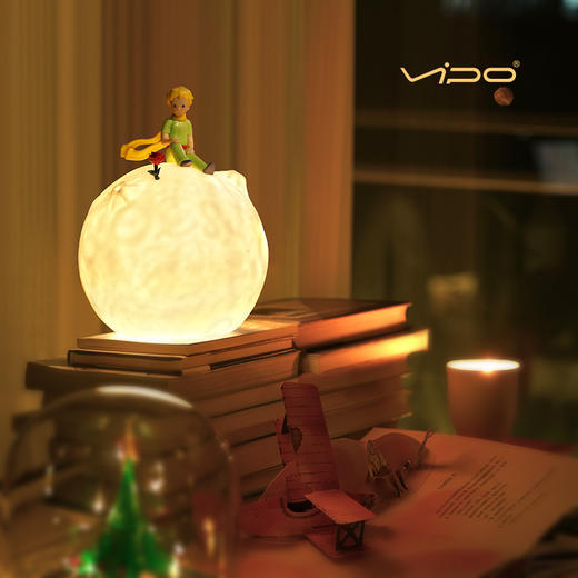 VIPO x 小王子星球灯-永恒的玫瑰 / 爱与驯养【本商品不支持用券】 商品图5